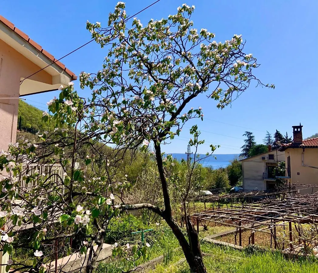 Villa Flamingo Mošćenička Draga Kroatië